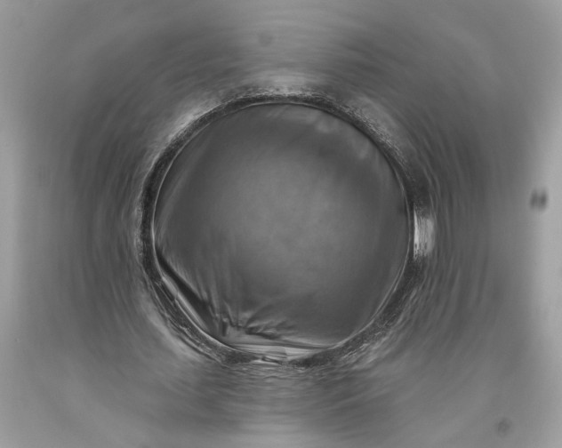 X0000093470627200710261043