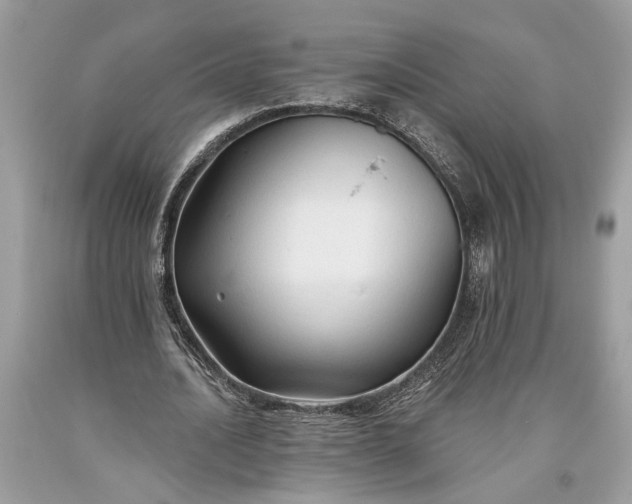 X0000093470628200710261043