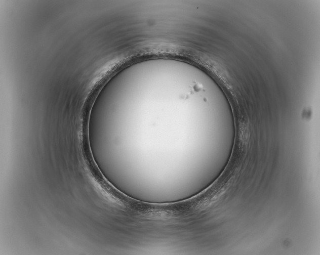 X0000093470629200710261043