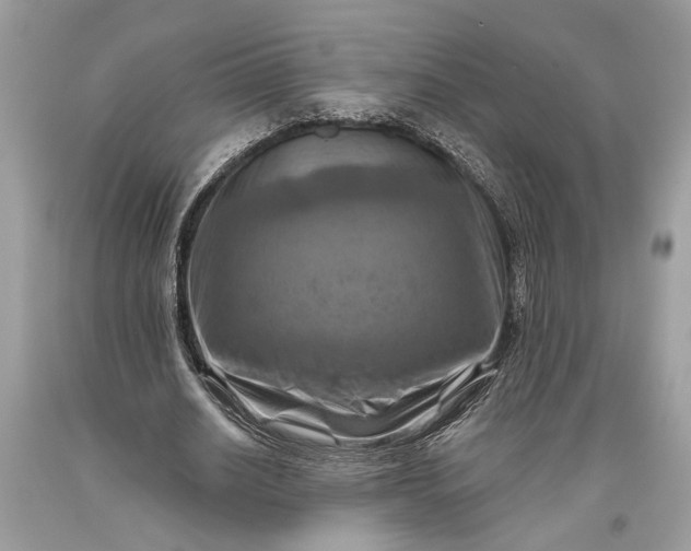 X0000093470630200710261043