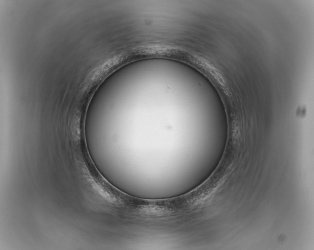 X0000093470633200710261044