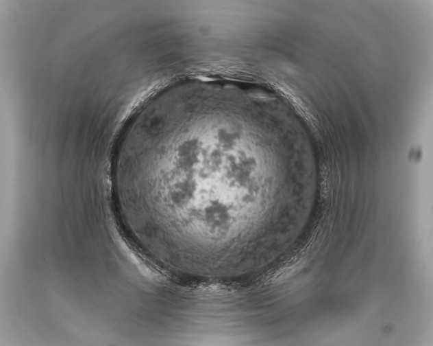 X0000093470634200710261044