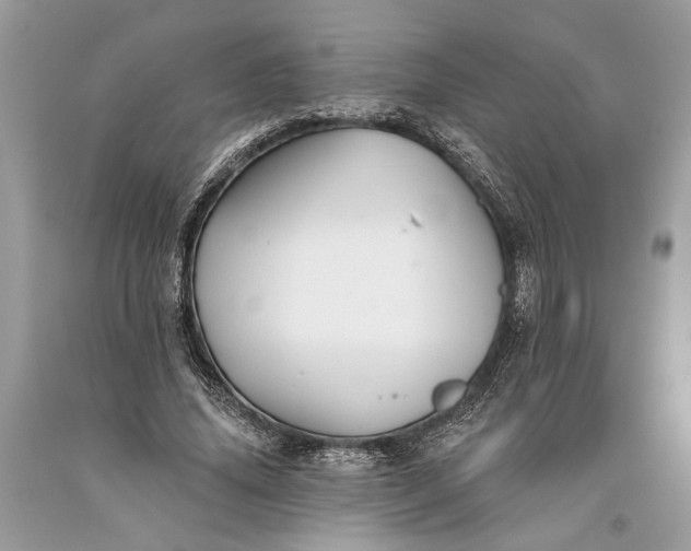 X0000093470636200710261044