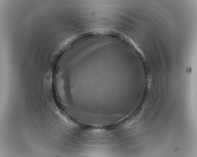 X0000093470637200710261044