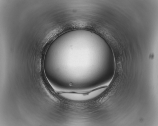 X0000093470638200710261044