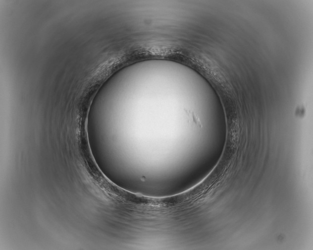 X0000093470639200710261044