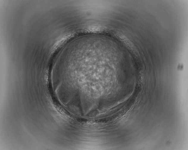 X0000093470640200710261044