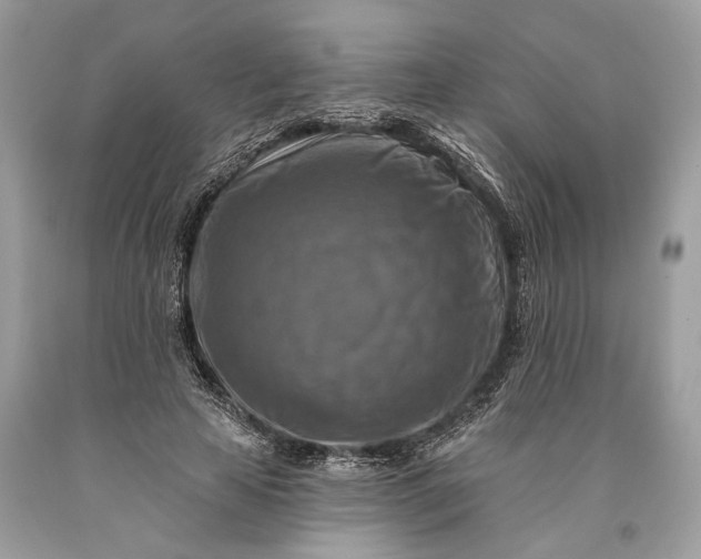 X0000093470641200710261044