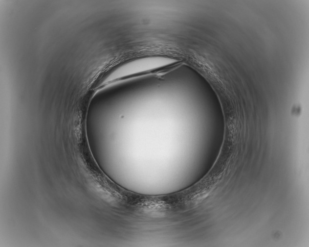 X0000093470642200710261044