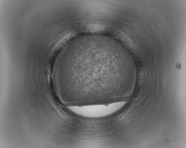 X0000093470644200710261044