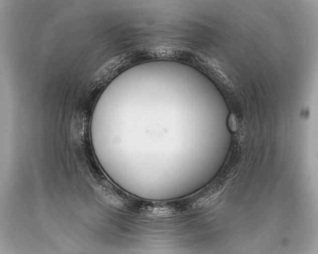 X0000093470645200710261044