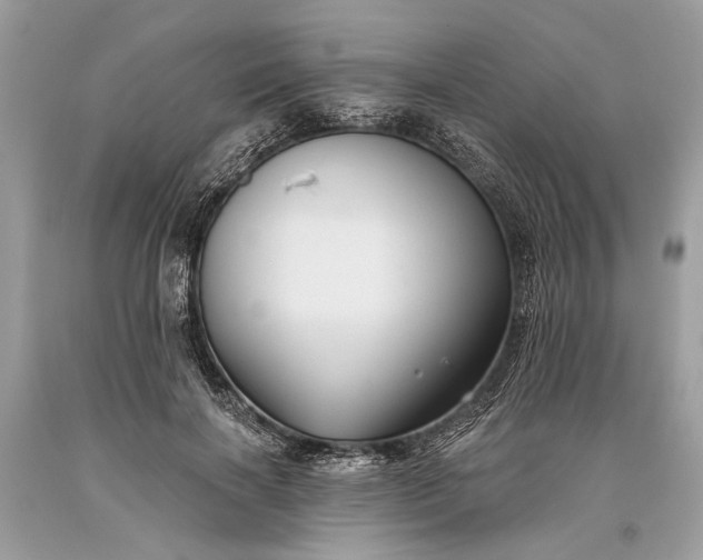 X0000093470646200710261044