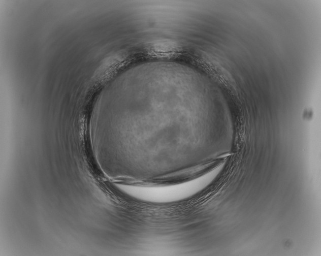 X0000093470647200710261044