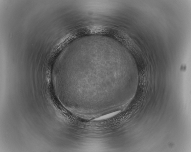 X0000093470648200710261044