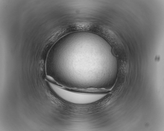 X0000093470649200710261044