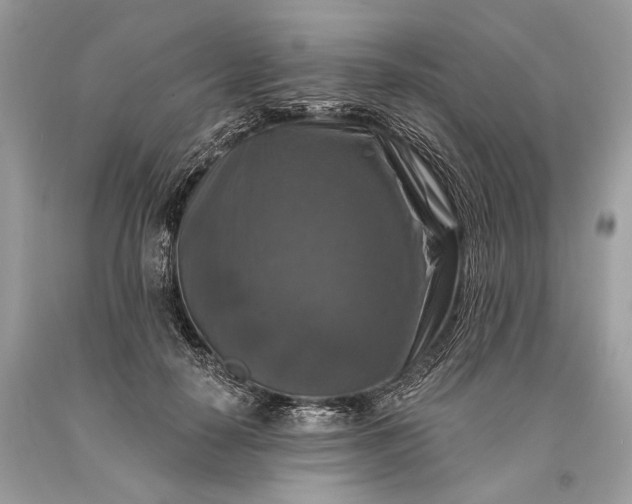 X0000093470650200710261044