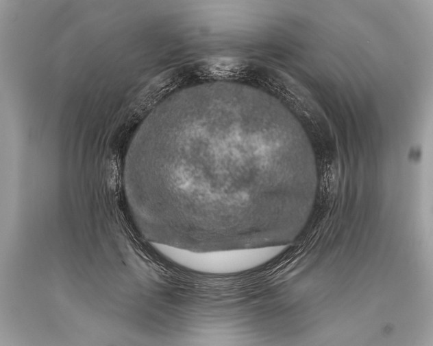 X0000093470651200710261044