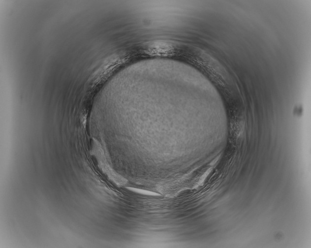 X0000093470652200710261044