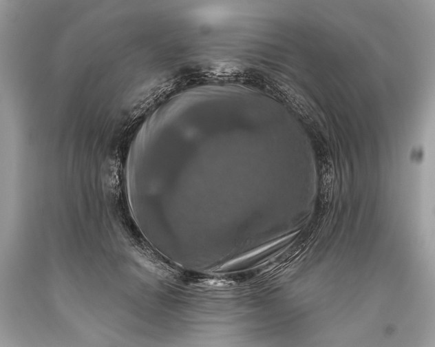 X0000093470654200710261044