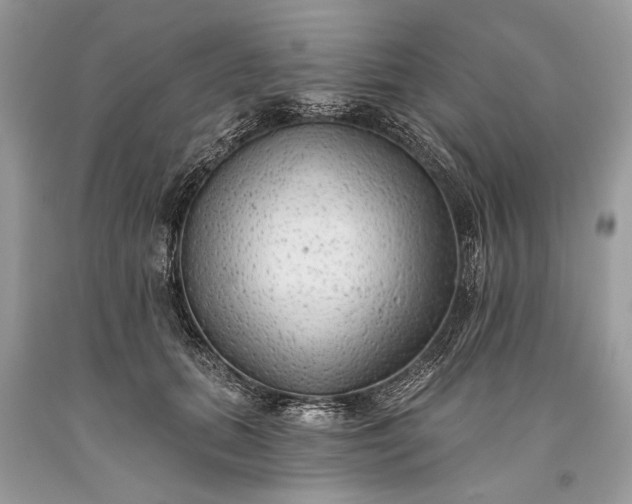 X0000093470655200710261044