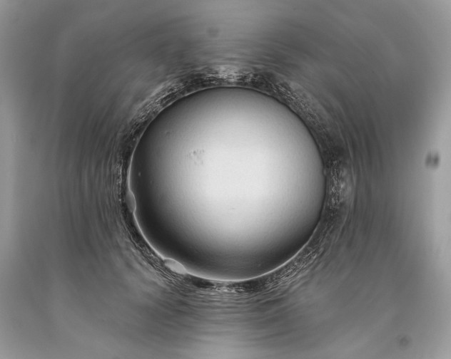 X0000093470656200710261044