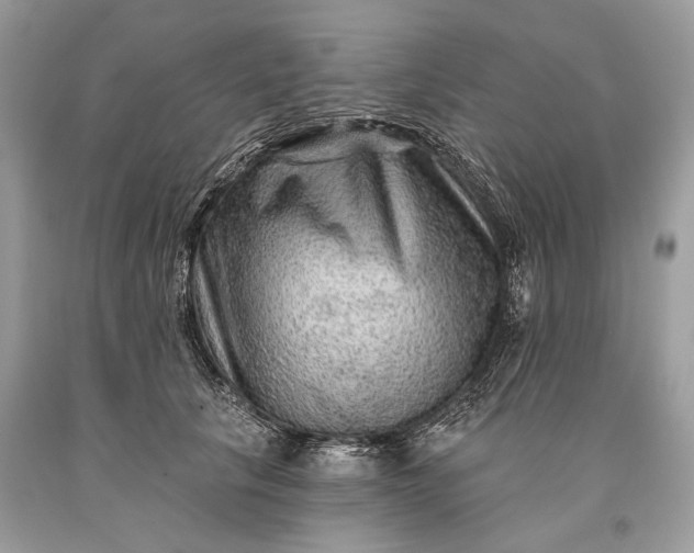 X0000093470657200710261044