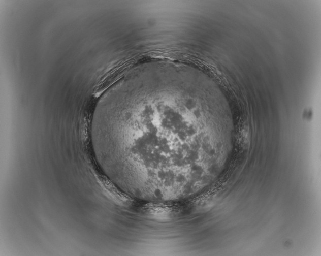 X0000093470658200710261044