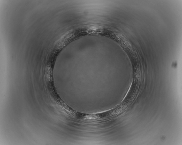 X0000093470659200710261044