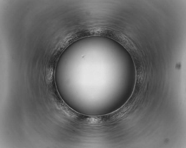 X0000093470660200710261044