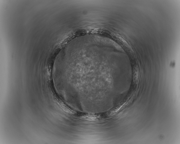 X0000093470661200710261044