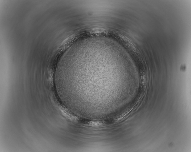 X0000093470662200710261044