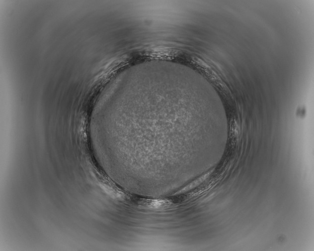 X0000093470663200710261044