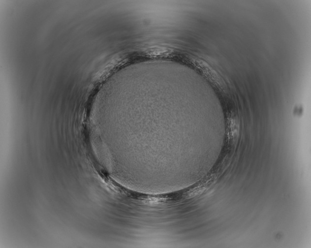 X0000093470664200710261044