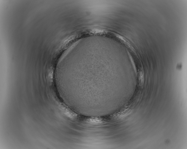 X0000093470668200710261044