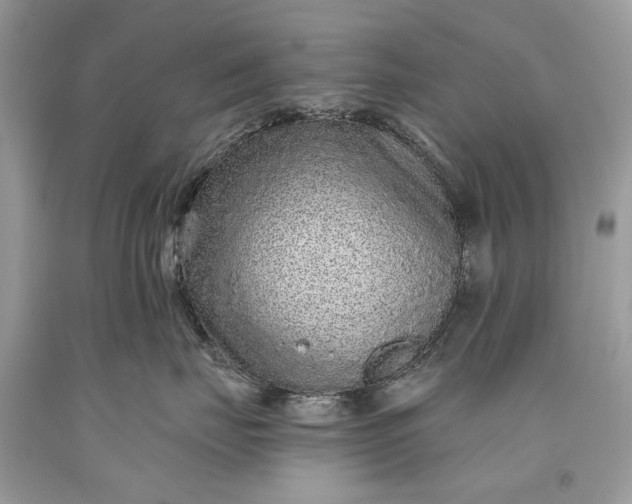 X0000093470671200710261044