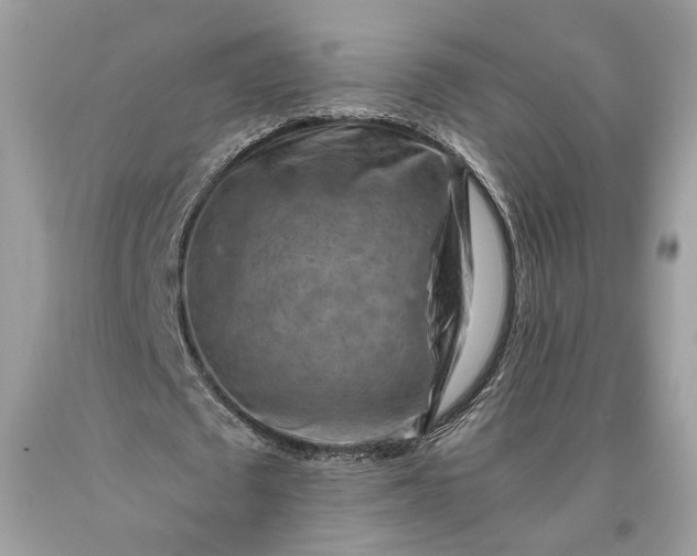 X0000093470673200710261043