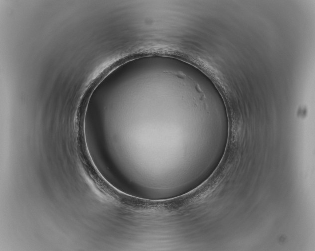 X0000093470674200710261043