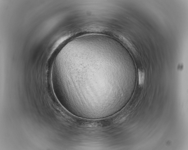 X0000093470675200710261043