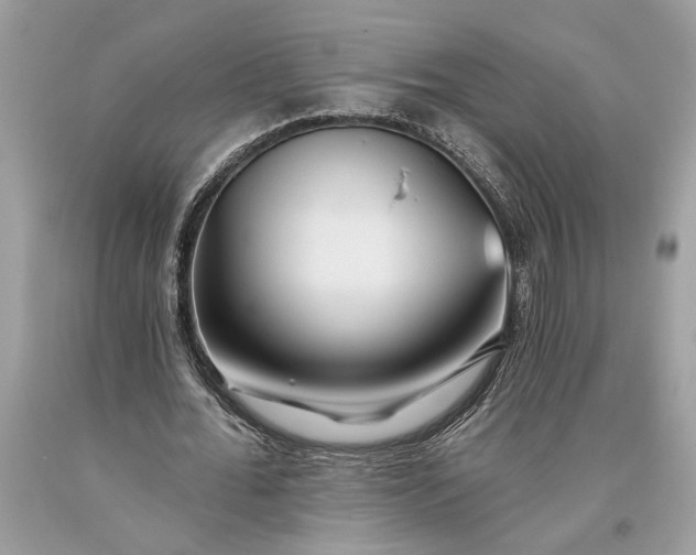 X0000093470676200710261043