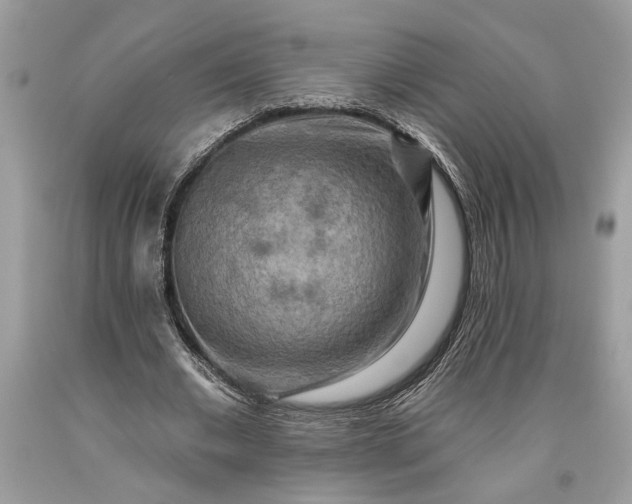 X0000093470677200710261043