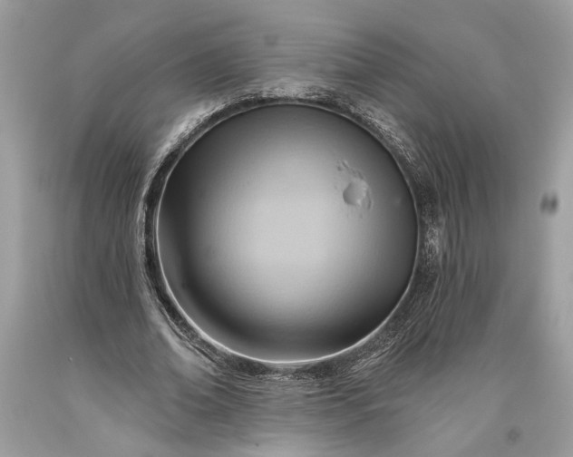 X0000093470678200710261043