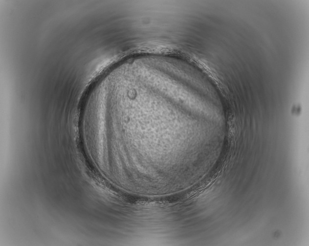 X0000093470679200710261043