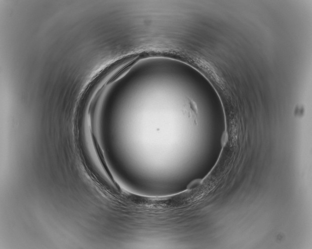 X0000093470680200710261043