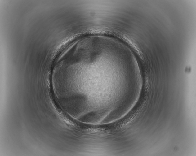 X0000093470681200710261043