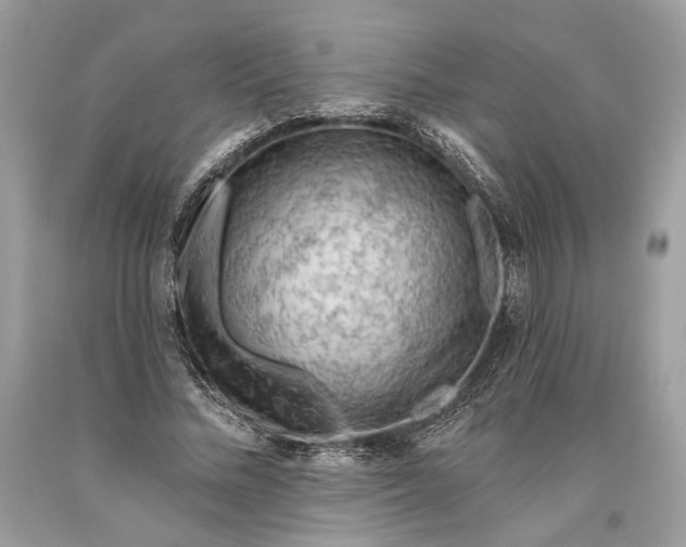 X0000093470684200710261043