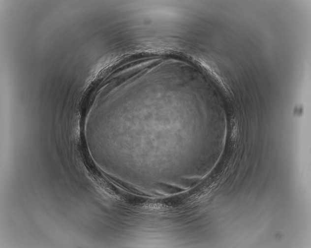 X0000093470685200710261043