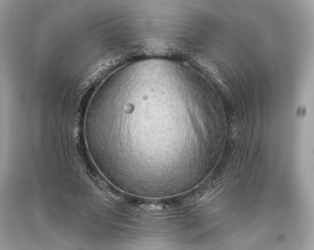 X0000093470687200710261043