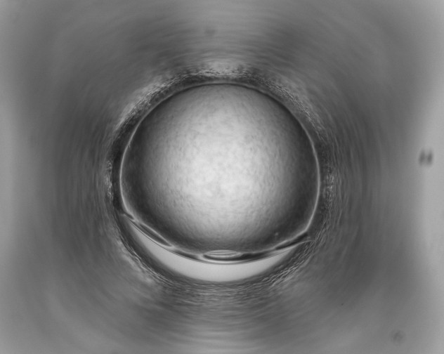 X0000093470688200710261043