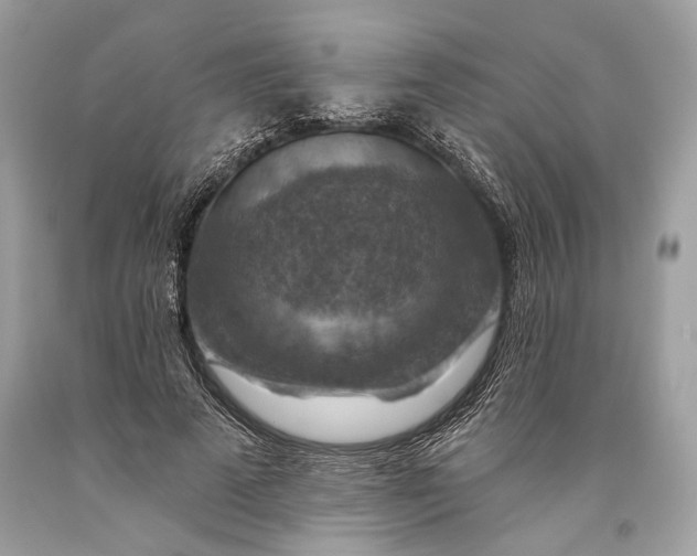 X0000093470689200710261043