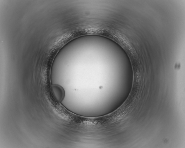 X0000093470690200710261043